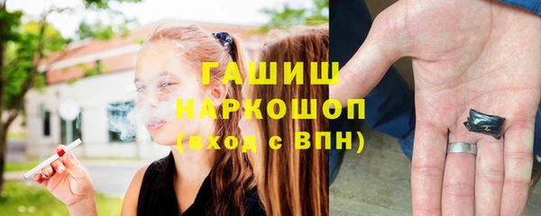 индика Вязники