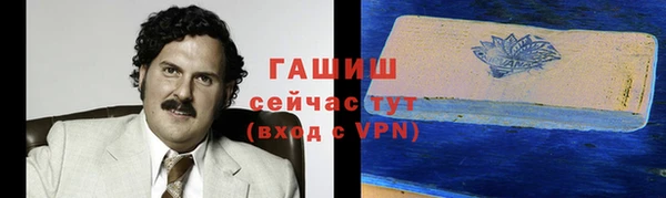 индика Вязники