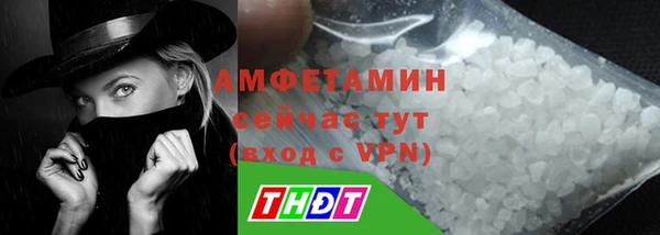 индика Вязники
