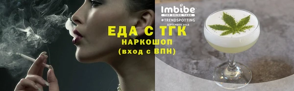 индика Вязники