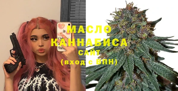 индика Вязники