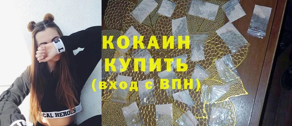 индика Вязники
