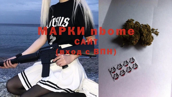индика Вязники