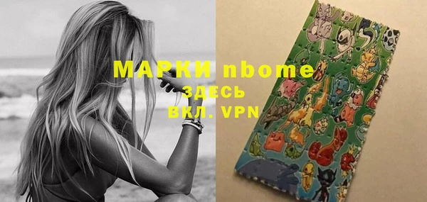 индика Вязники